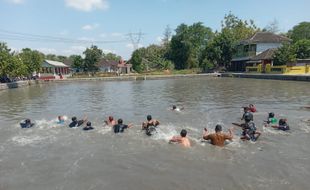 Lomba Tangkap Bebek, Puluhan Orang Nyemplung di Embung Glagahwangi Klaten