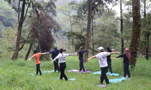 Wah, Sapuangin Klaten Jadi Jujugan Wisata Forest Therapy untuk Kesehatan Mental