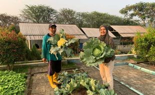 Edupark dan Kebun Hortikultura PT Semen Gresik Wisata Edukasi Pertanian Terpadu