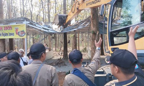 Satpol PP Robohkan 90 Lapak PKL di Kawasan Hutan Jati Mijen Semarang