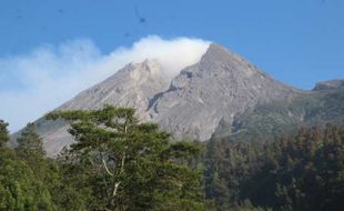 Sepekan, Merapi Luncurkan Empat Kali Awan Panas dan Guguran Lava