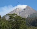 Sepekan, Merapi Luncurkan Empat Kali Awan Panas dan Guguran Lava