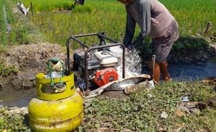 Petani Sragen Kesulitan Cari Elpiji 3 Kg, Harganya Tembus Rp35.000/Tabung