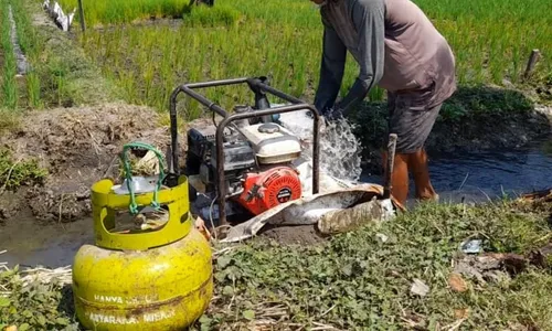 Petani Sragen Kesulitan Cari Elpiji 3 Kg, Harganya Tembus Rp35.000/Tabung