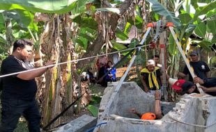 Anakan Sapi Tercemplung Sumur 15 Meter di Gabus Sragen Berhasil Dievakuasi