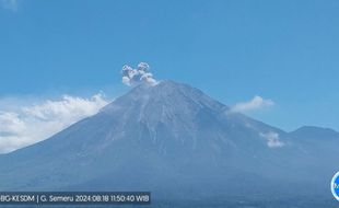 Berstatus Waspada, Gunung Semeru Kembali Erupsi Setinggi 700 Meter