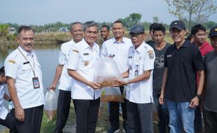 Ribuan Benih Ikan Nila dan Lele Ditebar di Sungai Malanggaten Karanganyar