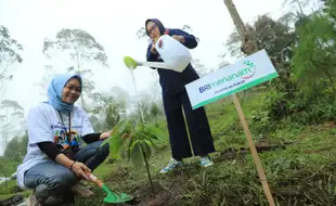 Berbagai Program BRI untuk Mendukung Net Zero Emission di 2050