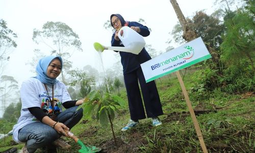 Berbagai Program BRI untuk Mendukung Net Zero Emission di 2050