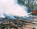 Rumah di Ngawi Ludes Terbakar saat Pemilik ke Ladang