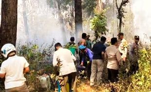 Hutan Jati di Ngawi Kebakaran, Nyaris Bakar Tumpukan Kayu Milik Perhutani