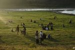 Berubah Jadi Padang Rumput, Keindahan Waduk Tandon Wonogiri Bikin Pengunjung Betah