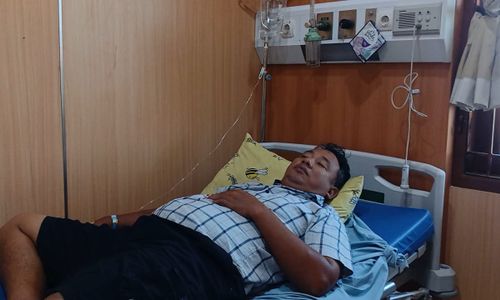 Diserang 15 Ekor Tawon Vespa, Warga Plumbungan Sragen Masuk RS