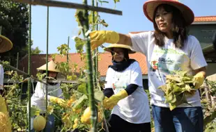 Dukung Pemberdayaan Wanita, BRI Raih Penghargaan CSR di Merdeka Award 2024