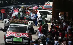 Parade Mini Peringatan 7 Tahun Kedatangan Panda Raksasa di TSI Bogor