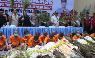 Temuan Ladang Ganja di Lereng Gunung Semeru, Polres Lumajang Tetapkan Satu DPO