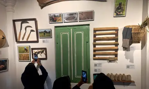 Keren, Ada Museum Edukasi Pertanian Omah Rojolele di Delanggu Klaten