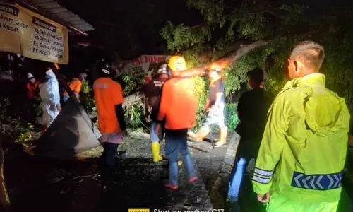 Dampak Hujan Disertai Angin, Pohon Tumbang Timpa 2 Warung dan 1 Motor di Kroyo Sragen