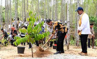 Presiden Jokowi Canangkan Hutan Pendidikan Wanagama Nusantara di IKN