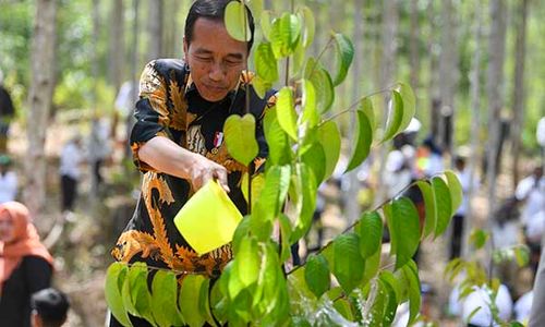 Jokowi: Pindah ke IKN Butuh Persiapan Matang