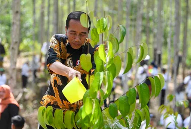 Jokowi bakal Groundbreaking Infrastruktur di IKN, H-25 Jelang Lengser