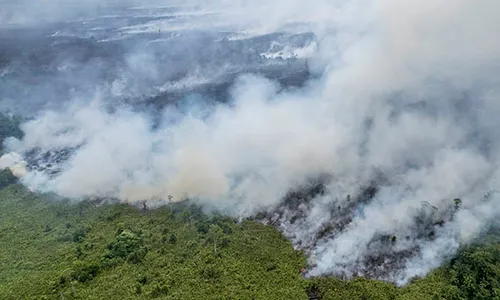 Antisipasi Karhutla di Muaro Jambi Meluas, Puluhan Petugas Gabungan Dikerahkan