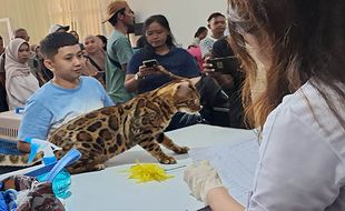 Puluhan Kucing Lucu Tampil di Kontes Boyolali Cat Show 2024