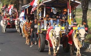 Parade Puluhan Cikar di Kediri, Upaya Lestarikan Alat Transportasi Pedesaan