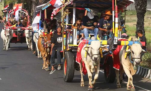 Parade Puluhan Cikar di Kediri, Upaya Lestarikan Alat Transportasi Pedesaan