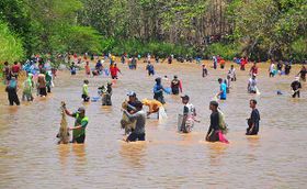 Tradisi Tubo, Warga Ramai-ramai Tangkap Ikan Bersama di Sungai Tuntang Grobogan