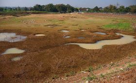 Musim Kemarau, Waduk Botok di Kedawung Sragen Mulai Mengering