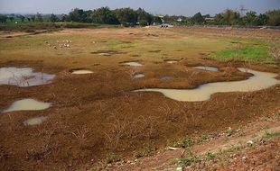 Musim Kemarau, Waduk Botok di Kedawung Sragen Mulai Mengering