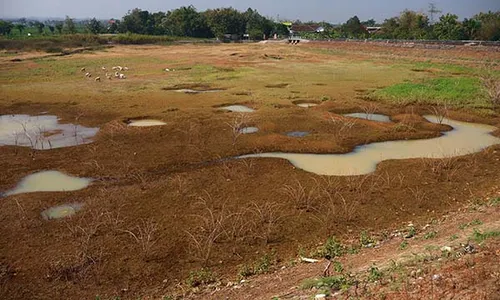 Musim Kemarau, Waduk Botok di Kedawung Sragen Mulai Mengering