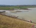 Musim Kemarau, Volume Air di Waduk Dawuhan Madiun Menyusut