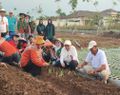 Gandeng BRIN, Mbak Ita Tanam Bawang Merah Lokananta, Bisa Panen 20 Ton/Hektare