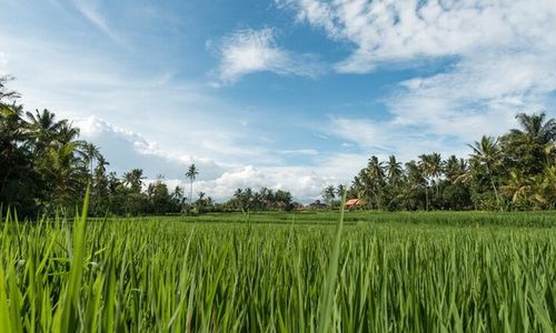 Prakiraan Cuaca Sukoharjo Jumat 20 September Dominan Cerah Berawan