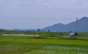 Prakiraan Cuaca Sragen Minggu 15 September 2024 Dominan Cerah