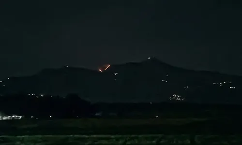 Breaking News! Gunung Telomoyo Kebakaran Petang Ini