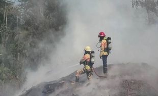 Kebakaran Limbah Kayu Pabrik, Satu Dusun di Temanggung Diselimuti Asap Pekat