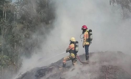 Kebakaran Limbah Kayu Pabrik, Satu Dusun di Temanggung Diselimuti Asap Pekat