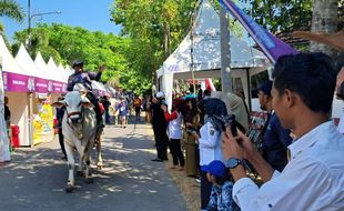 Sangar! Para Kepala Dinas di Boyolali Berparade Tunggangi Sapi Jumbo