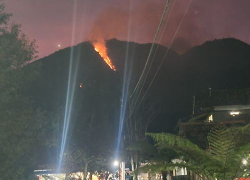 BPBD Jateng Ungkap Penyebab Kebakaran Gunung Telomoyo, Berawal dari Bakar Rumput