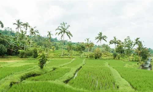 Prakiraan Cuaca Karanganyar Minggu 22 September 2024 Cukup Bersahabat