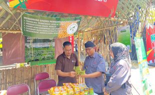 Cegah Defisit, Gerakan Tanam Kedelai Digelar di 5 Kecamatan Boyolali