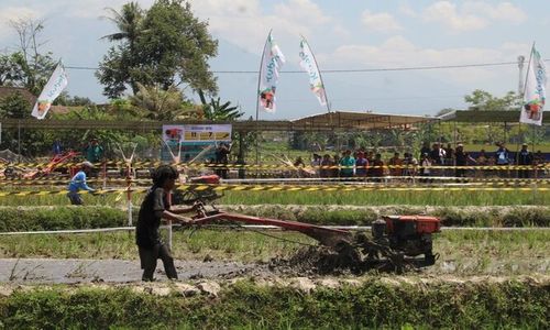 Bermandikan Lumpur, 32 Petani Beradu Cepat Lomba Balap Traktor di Klaten