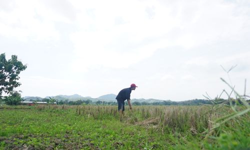 Meski Sempat Hujan 3 Hari, Petani Wonogiri Diimbau Tak Buru-Buru Tanam Padi