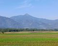 Kebakaran di Gunung Telomoyo Sudah Padam, Petugas Lakukan Penyisiran