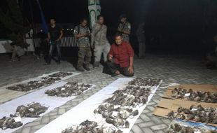 Keras! Warga Minggir Sleman Gelar Lomba Menembak Tikus untuk Tekan Gagal Panen