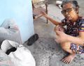 Nenek-nenek Pedagang Nasi Sayur di Sragen Temukan Bayi di Depan Rumah