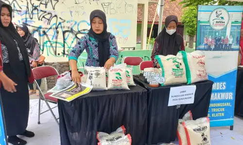 Serap Gabah Petani, BUM Desa Pundungsari Klaten Terkendala Peralatan dan Gudang